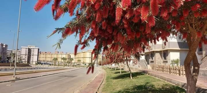 جاردينيا سيتي كومباوند Apartment
