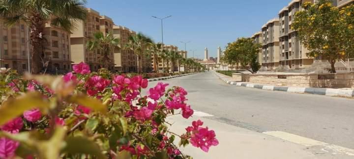 جاردينيا سيتي كومباوند * Cairo